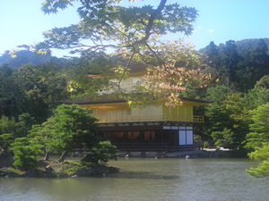 Golden Paradise